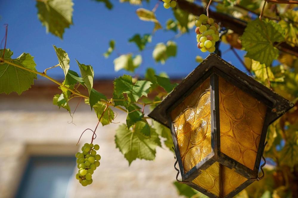 Chateau Du Raysse Villa Cazoules Екстериор снимка